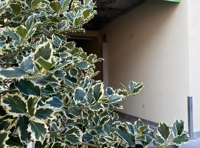 Hotel Bagatelle 3* Pont-a-Mousson